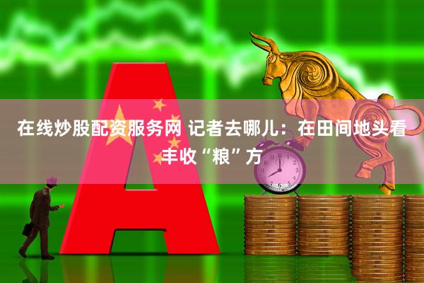 在线炒股配资服务网 记者去哪儿：在田间地头看丰收“粮”方