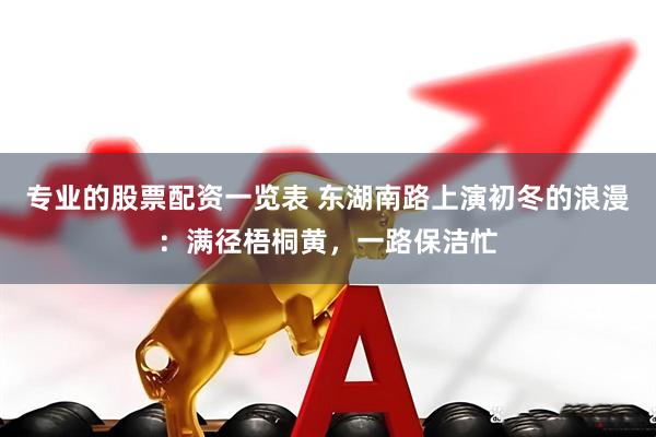 专业的股票配资一览表 东湖南路上演初冬的浪漫：满径梧桐黄，一路保洁忙