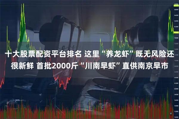 十大股票配资平台排名 这里“养龙虾”既无风险还很新鲜 首批2000斤“川南早虾”直供南京早市